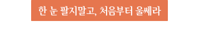울쎄라 리프팅